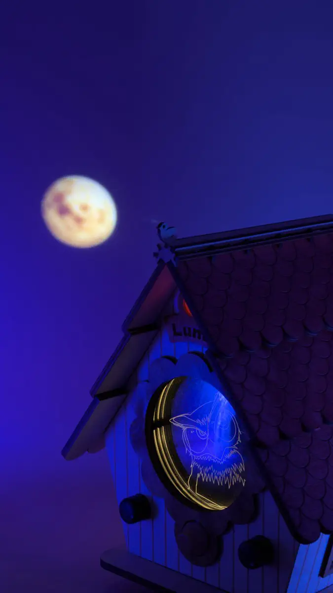 Vogelhuisje bij nacht met de projectie van de maan zichtbaar